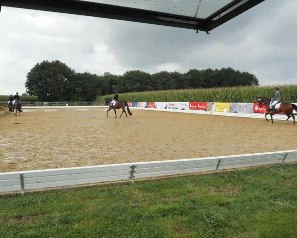 Sommerturnier Ostbevern 2021
