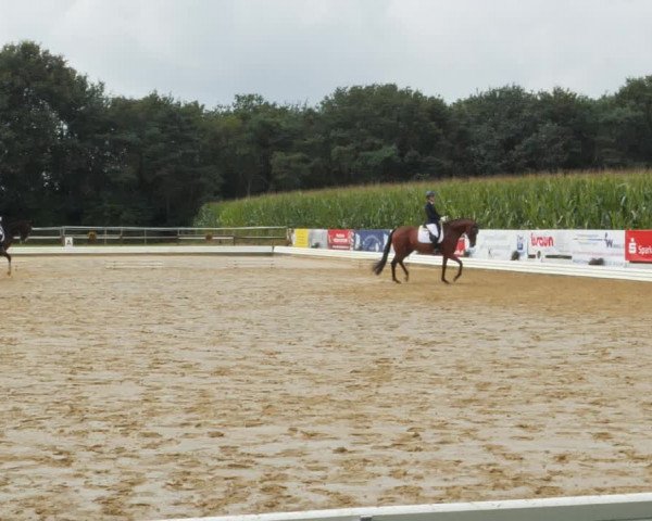 Sommerturnier Ostbevern 2021