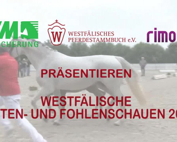 Stuten- und Fohlenschau Wettringen 2018