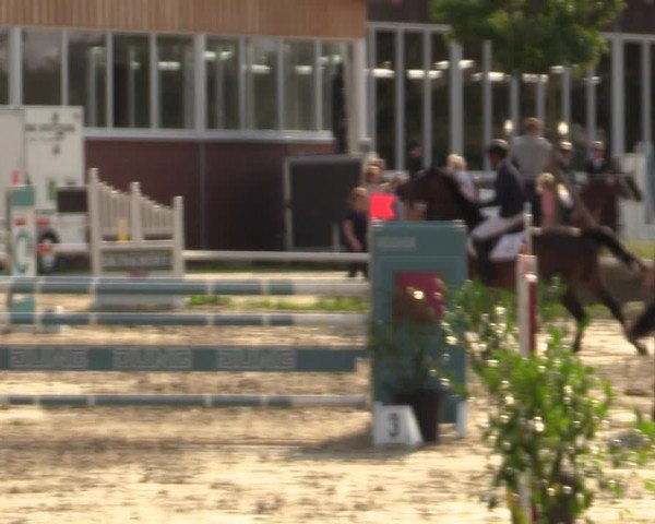 Reitturnier Werne 2021