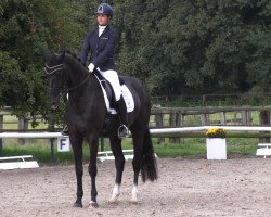 broodmare Weihcera Royal NG (Oldenburg, 2009, from Zack)