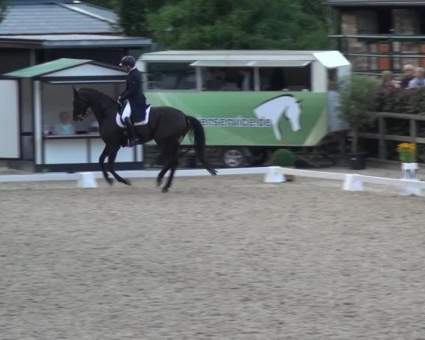 Reitsport Festival am Gut Jagenberg - Solingen 2021
