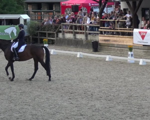 Reitsport Festival am Gut Jagenberg - Solingen 2021
