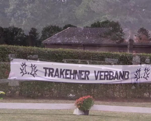 6. Trakehner Landesschau im Zuchtbezirk Westfalen