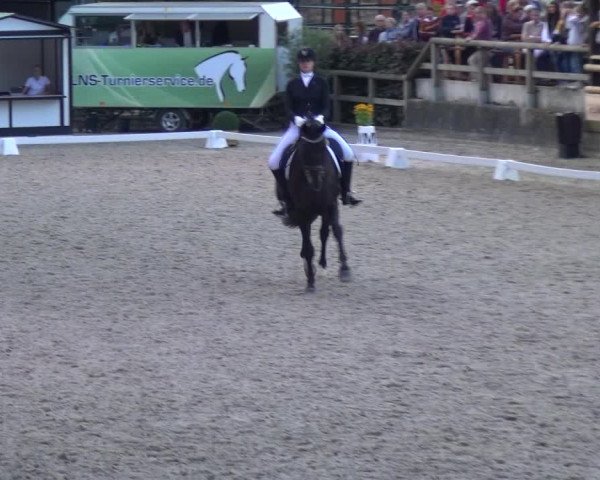 Reitsport Festival am Gut Jagenberg - Solingen 2021