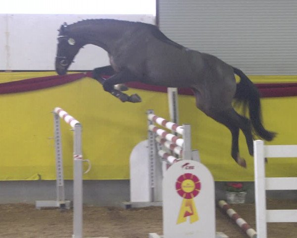 DSP-Freispringchampionat 2018