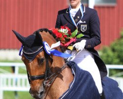 dressage horse Solos Lacan (Danish Warmblood, 1996, from Castro)