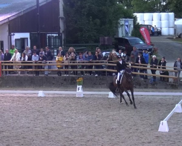 Reitsport Festival am Gut Jagenberg - Solingen 2021