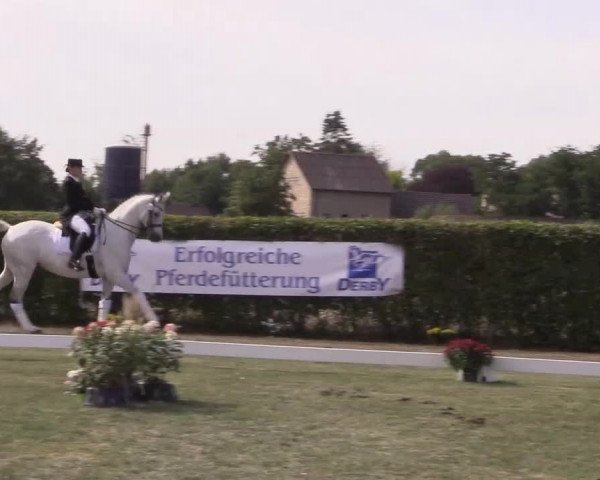 6. Trakehner Landesschau im Zuchtbezirk Westfalen