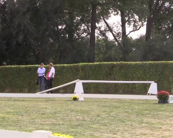 6. Trakehner Landesschau im Zuchtbezirk Westfalen