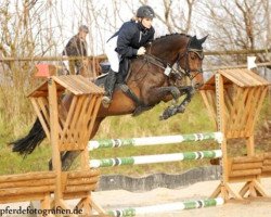 broodmare Sun2safe Cassara 2 (Holsteiner, 2007, from Cassaro 5)