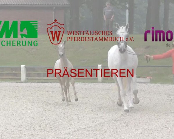 LVM-Sichtung Fohlenchampionat und Stutenschau Krüsterhof 2019