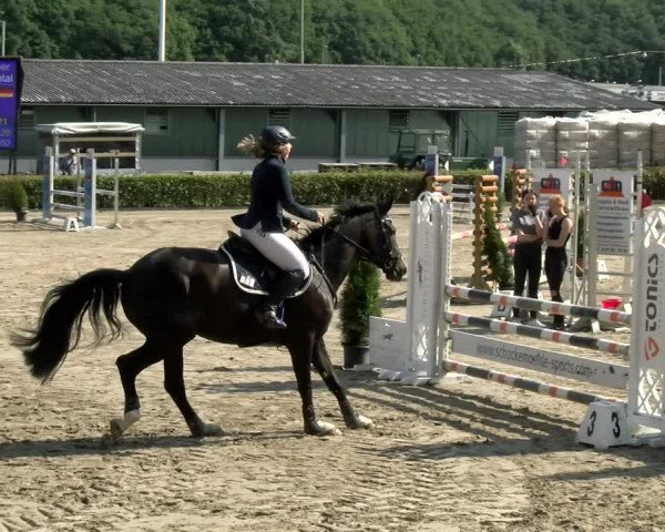 Reitturnier Siegen 2021
