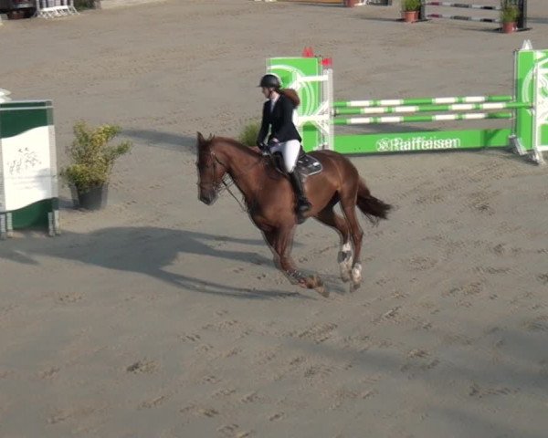Reitturnier Monheim - Gut Blee 2021