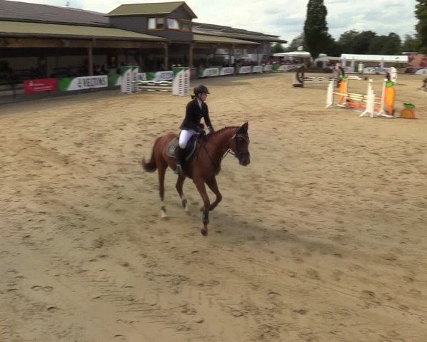 Reitturnier Hellefeld 2021