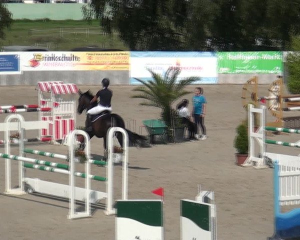 Reitturnier Monheim - Gut Blee 2021