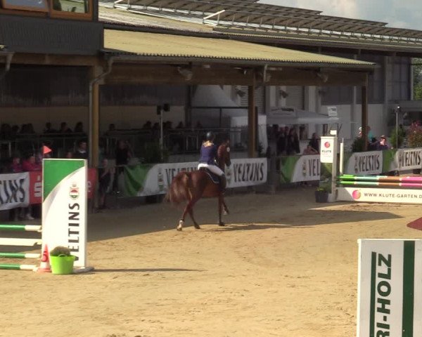 Reitturnier Hellefeld 2021