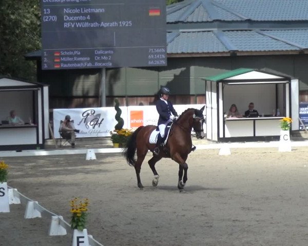 Reitsport Festival am Gut Jagenberg - Solingen 2021