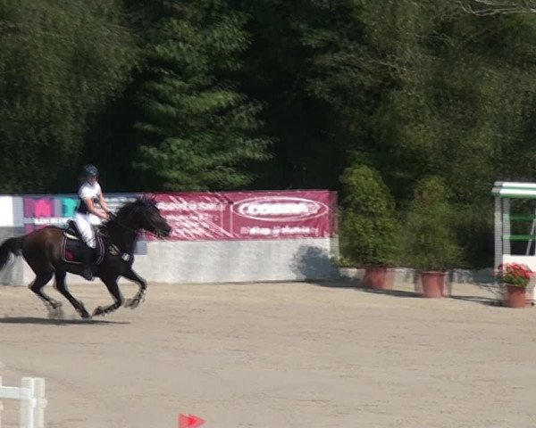 Reitturnier Monheim - Gut Blee 2021