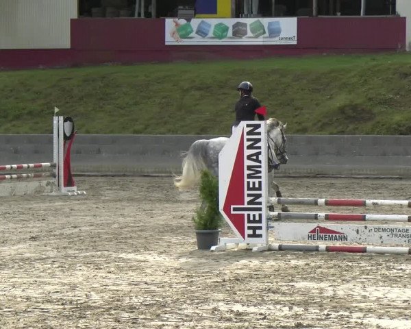 Reitturnier Siegen 2021