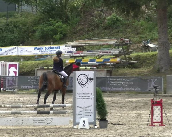 Reitturnier Siegen 2021