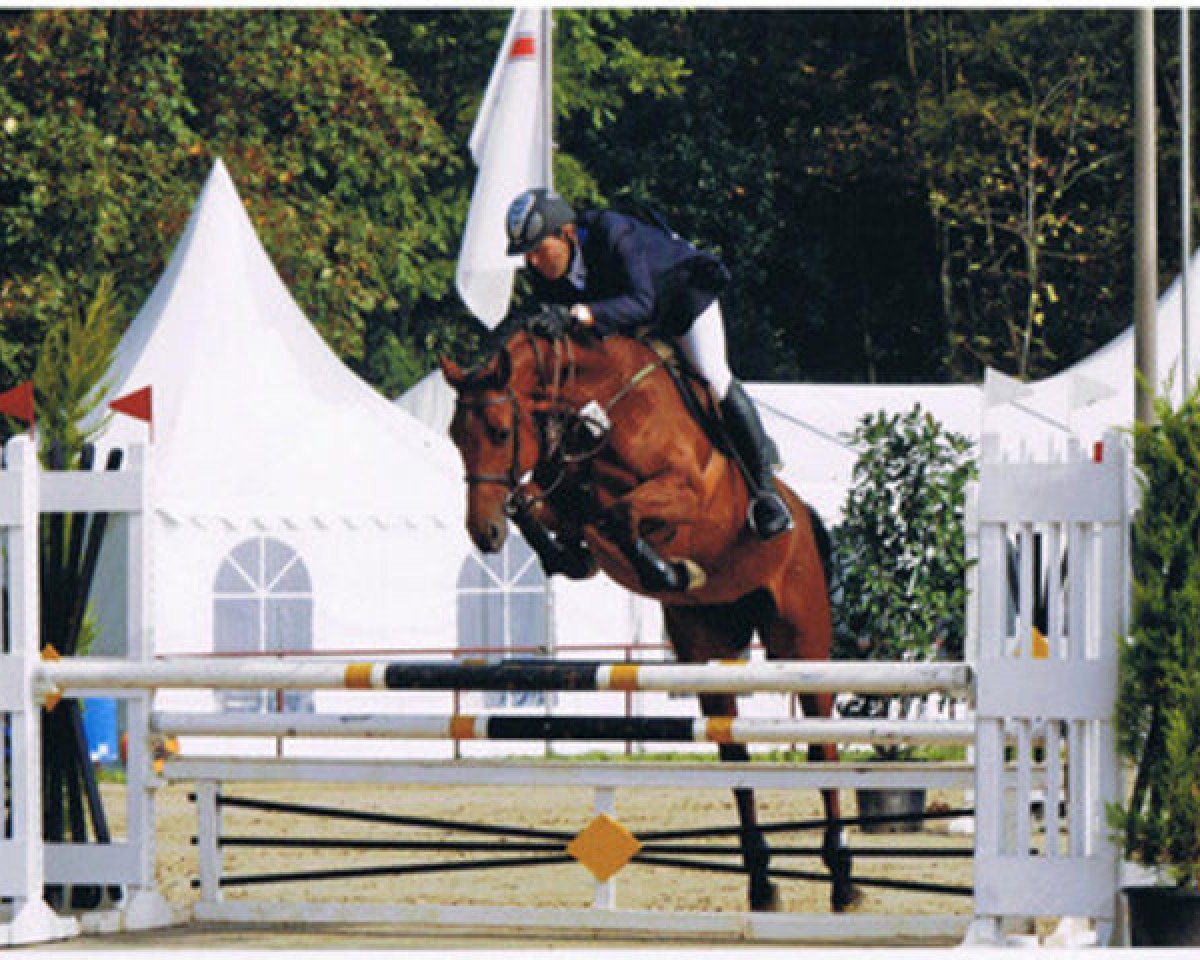 Yegua de cría Toskana VI (Holsteiner, 2003, de Acorado I)