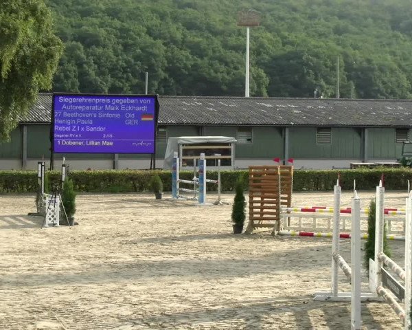 Reitturnier Siegen 2021