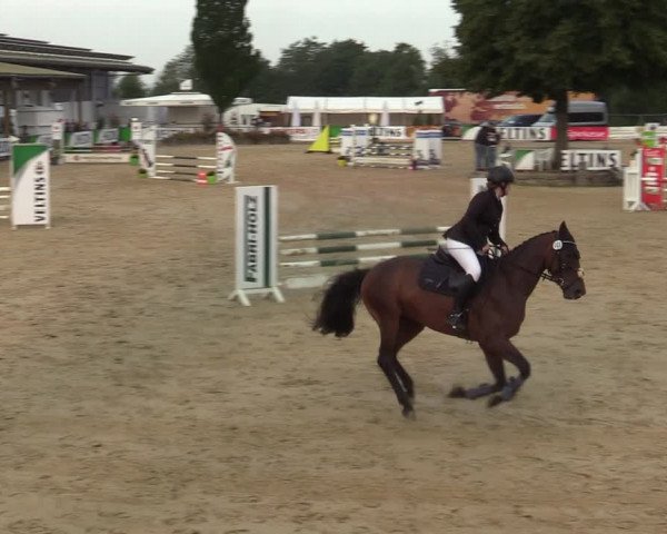 Reitturnier Hellefeld 2021