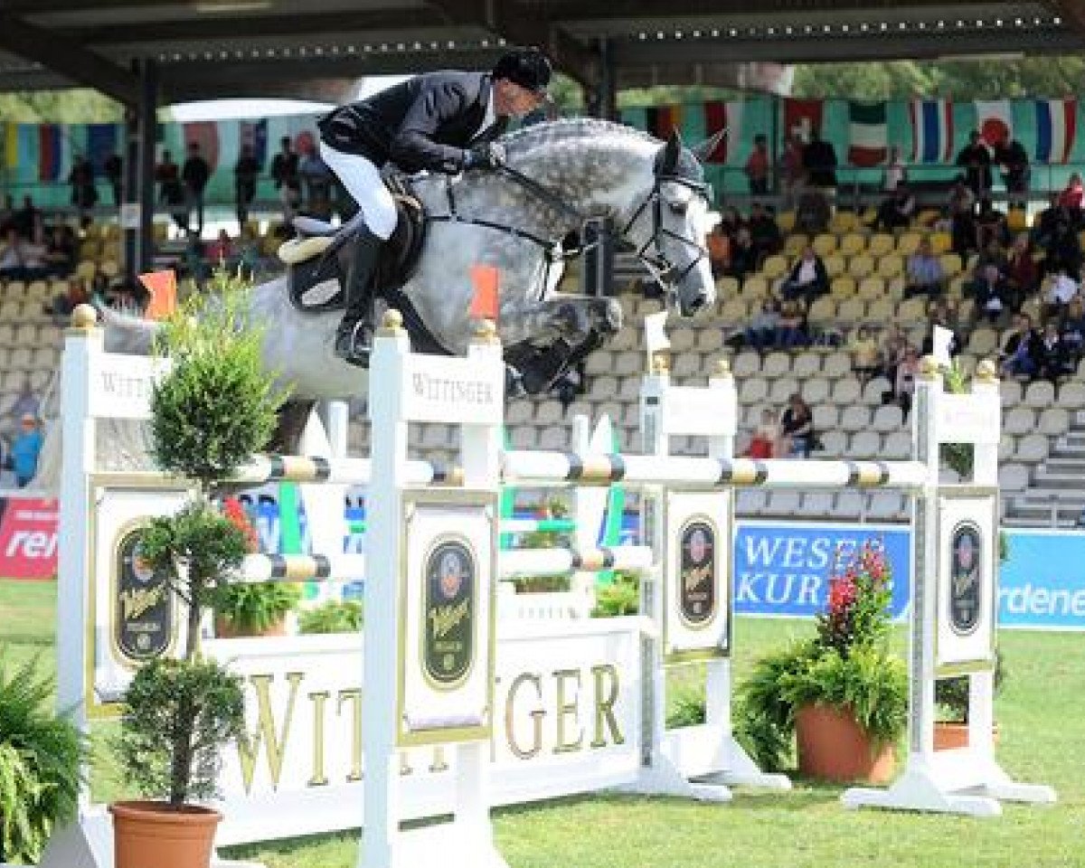 stallion Christian 25 (Holsteiner, 2006, from Cartani 4)