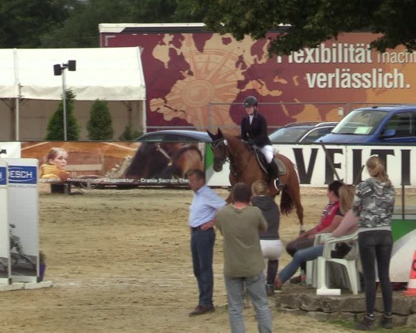Reitturnier Hellefeld 2021