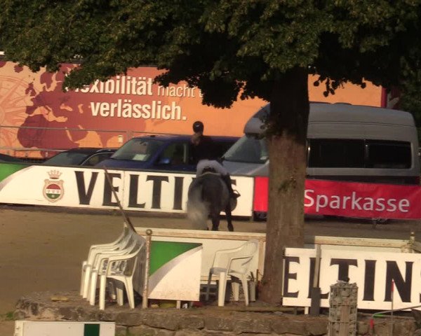 Reitturnier Hellefeld 2021