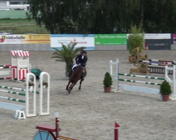 Reitturnier Monheim - Gut Blee 2021