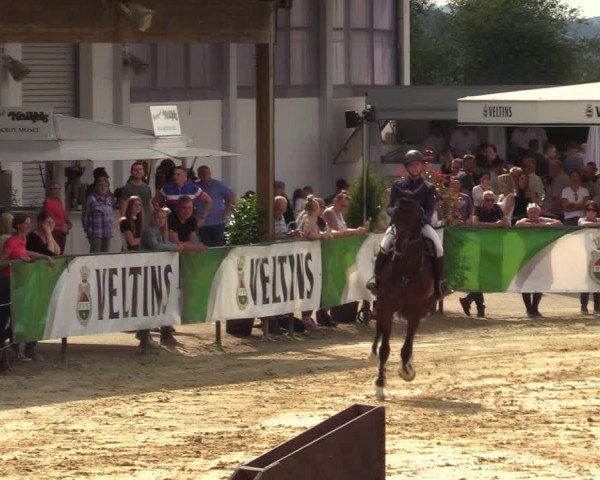 Reitturnier Hellefeld 2021