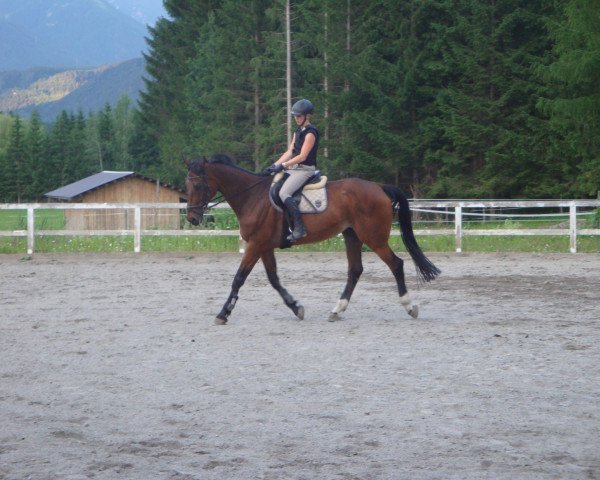 horse Looping 36 (Rhinelander, 1996, from Larome)