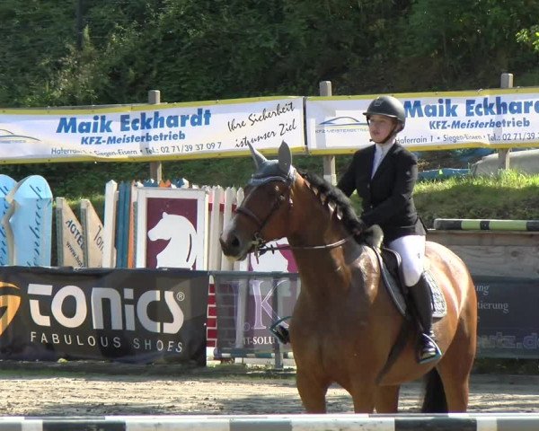 Reitturnier Siegen 2021