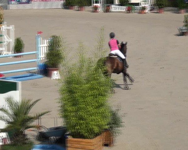 Reitturnier Monheim - Gut Blee 2021