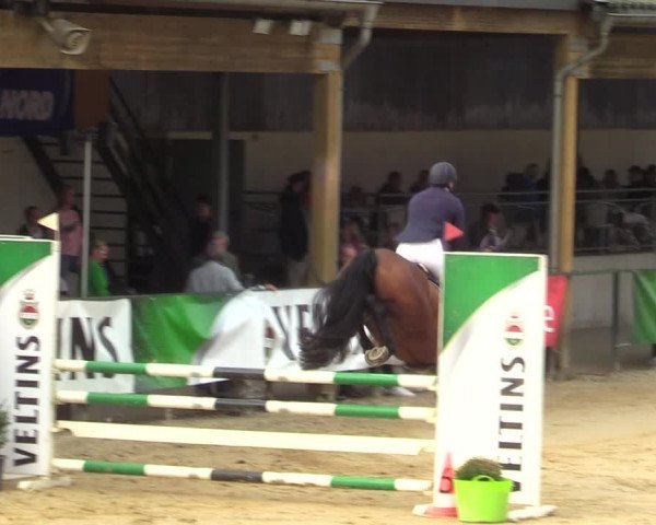 Reitturnier Hellefeld 2021