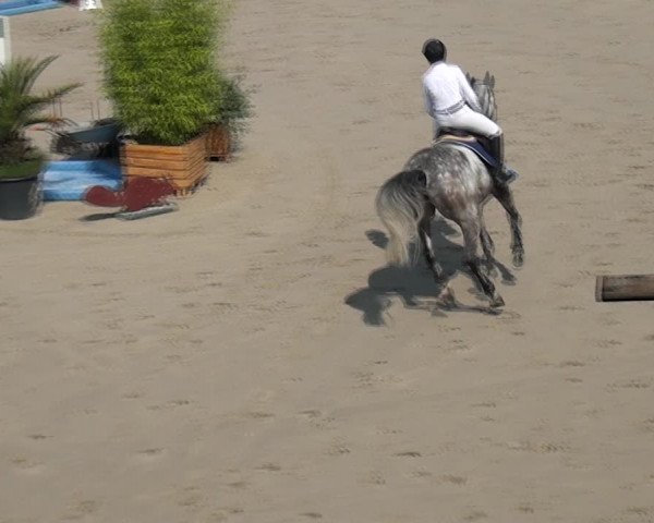 Reitturnier Monheim - Gut Blee 2021