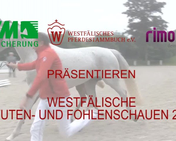 LVM-Sichtung Fohlenchampionat und Stutenschau Krüsterhof 2019