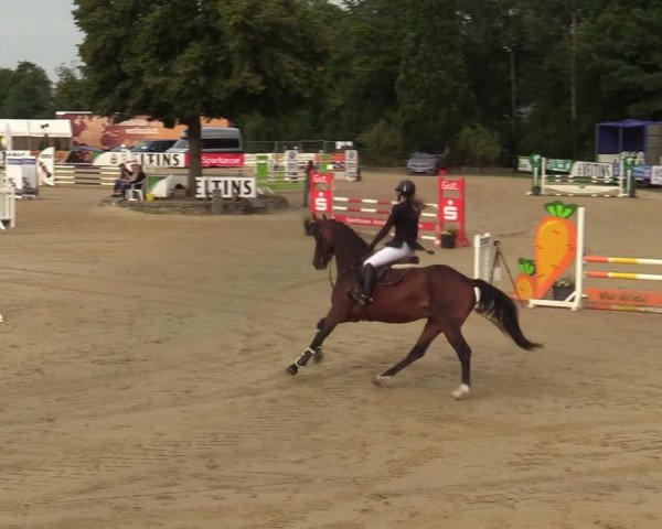 Reitturnier Hellefeld 2021