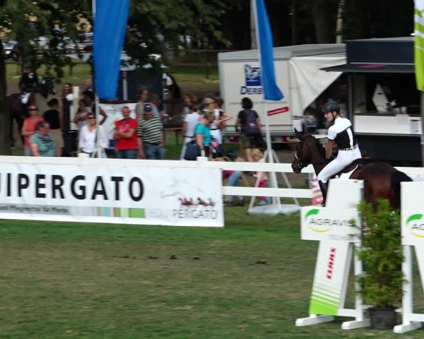 Sommerturnier Ostbevern 2021