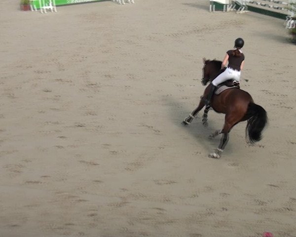 Reitturnier Monheim - Gut Blee 2021