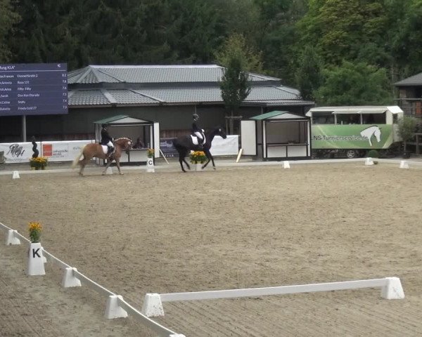 Reitsport Festival am Gut Jagenberg - Solingen 2021