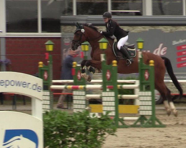 Reitturnier Werne 2021