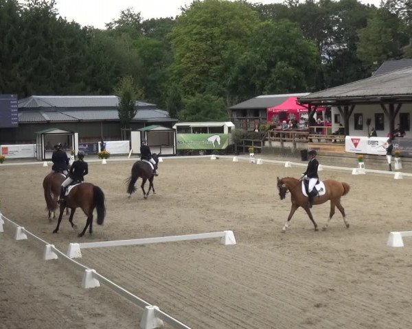 Reitsport Festival am Gut Jagenberg - Solingen 2021