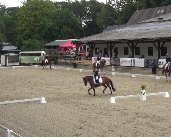 Reitsport Festival am Gut Jagenberg - Solingen 2021