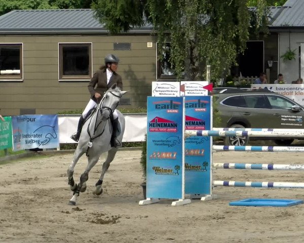 Reitturnier Siegen 2021