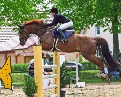 broodmare Griseldis F (Hanoverian, 2000, from Graf Top)