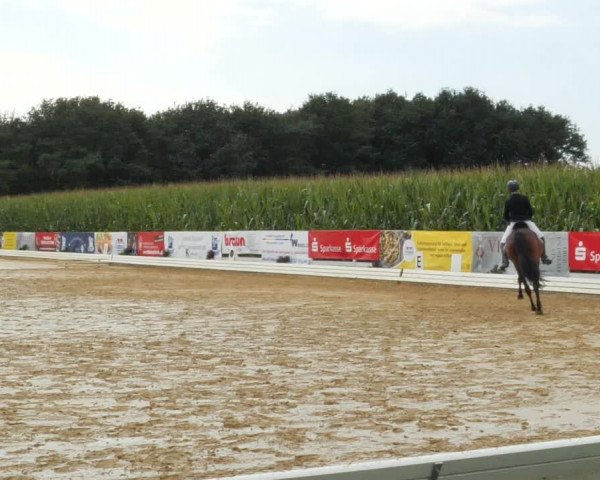 Sommerturnier Ostbevern 2021