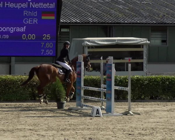 Reitturnier Siegen 2021